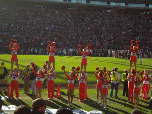 cheerleaders and rally cats 2009 football season