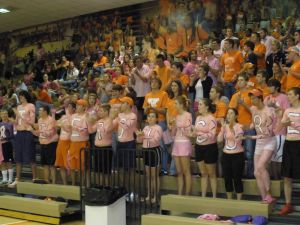 fans cheer student section