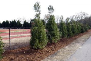 The Rock Norman Track, site of the 2010 ACC Outdoor Championships
