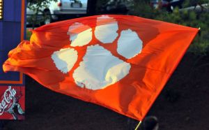 flag cheer celebration