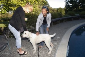 Nelly Ciolkowski and Keri Wong get to know the family dog.