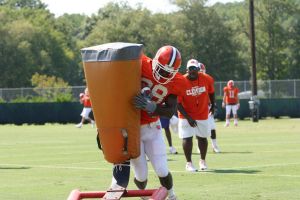 Photo Credit: Mark Cramer