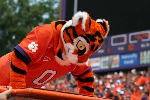 tiger push ups 090807