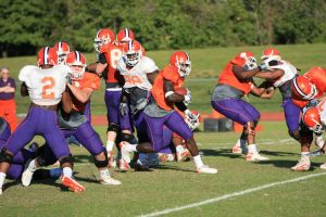 Photo Credit: Mark Crammer