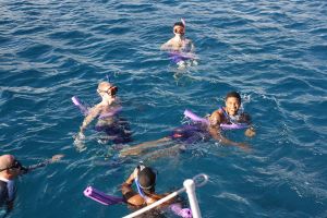 snorkeling 112010