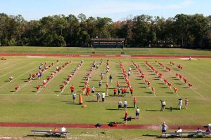 Photo Credit: Mark Crammer