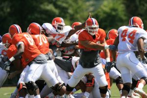 Photo Credit: Mark Cramer