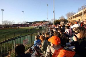 Photo by Mark Crammer