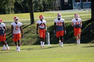 Photo Credit: Mark Crammer