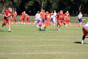 Photo credit: Mark Crammer