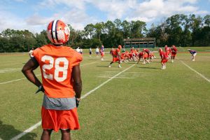 Photo Credit: Mark Crammer