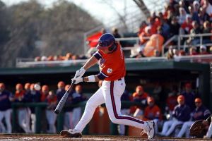 Photo by Mark Crammer