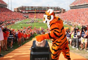 tiger top of hill rubbing rock 101808
