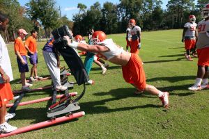 Photo Credit: Mark Crammer