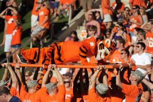tiger mascot pushups