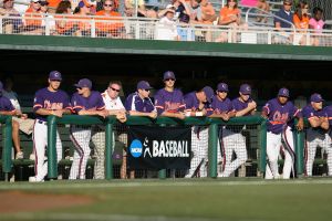 Clemson dugout