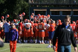 Photo credit: Mark Crammer