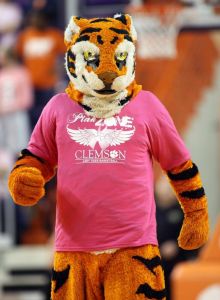 tiger mascot