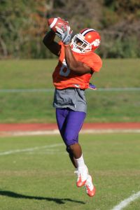 Photo Credit: Mark Crammer