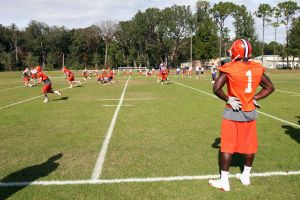 Photo Credit: Mark Crammer