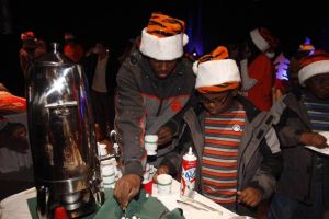 tiger wonderland 121410