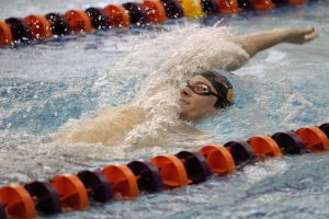 swimmer swimming 020412