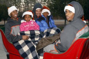 tiger wonderland 121410