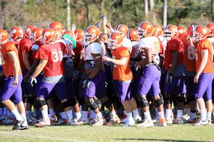 Photo Credit: Mark Crammer