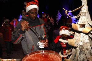 tiger wonderland 121410