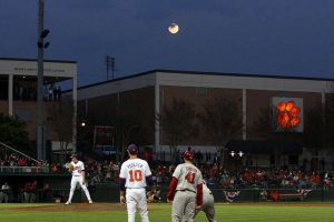 field moon jervey paw