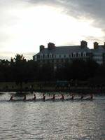 Tiger Rowing Concludes Fall Season at The Head of the Hooch