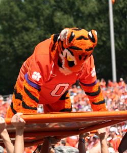 tiger mascot pushups