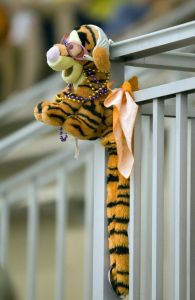 stuffed tiger wearing goggles