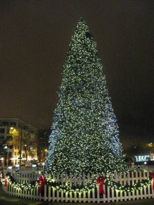 Clemson women's basketball in Seattle