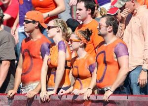 painted fans stands cheer