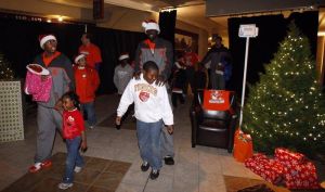 tiger wonderland 121410