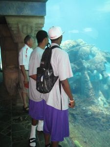 Hammonds, Stitt - The Dig