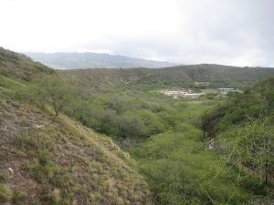 Diamond Head Crater