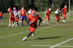 Photo Credit: Mark Crammer