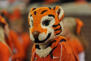 tiger mascot