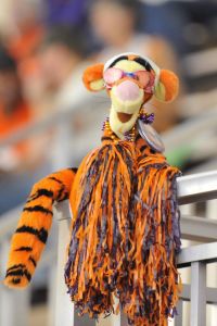 tiger stuffed animal wearing goggles