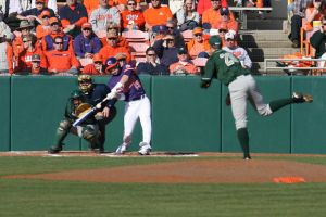 Photo by Mark Crammer