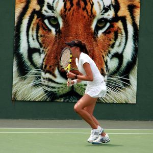 clemson vs. michigan 2008 NCAA second round 051008