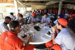 Photo credit: Mark Crammer