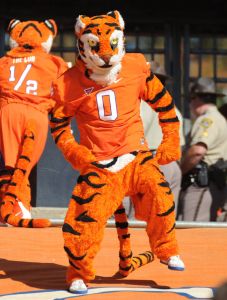 tiger mascot top of the hill