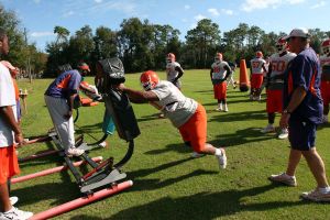 Photo Credit: Mark Crammer