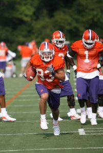 nelson faerber practice