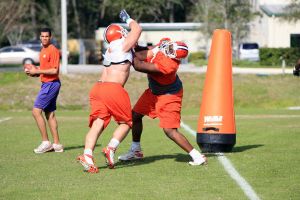 Photo Credit: Mark Crammer