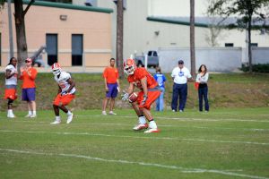 Photo Credit: Mark Crammer