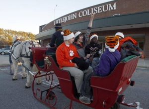 tiger wonderland 121410